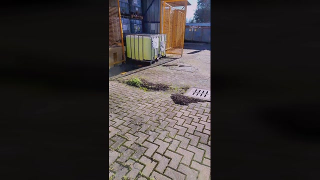 bunny_vic  02-02-2023